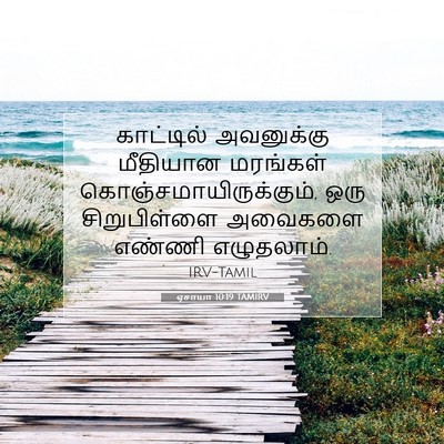 Picture 07 - ஏசாயா 10:19 TAMIRV - காட்டில் அவனுக்கு - Bible Verse Picture