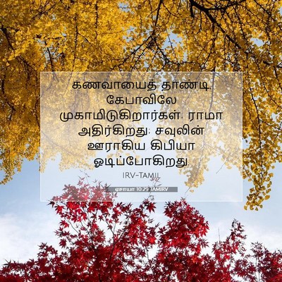 Picture 07 - ஏசாயா 10:29 TAMIRV - கணவாயைத் தாண்டி, - Bible Verse Picture