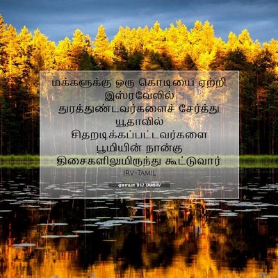 Picture 07 - ஏசாயா 11:12 TAMIRV - மக்களுக்கு ஒரு - Bible Verse Picture