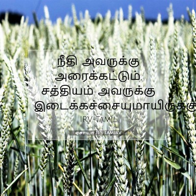 Picture 07 - ஏசாயா 11:5 TAMIRV - நீதி அவருக்கு - Bible Verse Picture