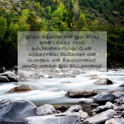 Picture 07 - ஏசாயா 12:2 TAMIRV - இதோ, தேவனே என் - Bible Verse Picture