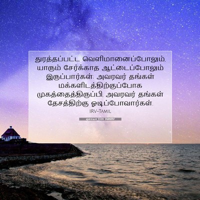 Picture 07 - ஏசாயா 13:14 TAMIRV - துரத்தப்பட்ட - Bible Verse Picture