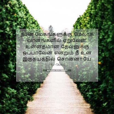 Picture 07 - ஏசாயா 14:14 TAMIRV - நான் மேகங்களுக்கு - Bible Verse Picture