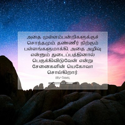 Picture 07 - ஏசாயா 14:23 TAMIRV - அதை - Bible Verse Picture