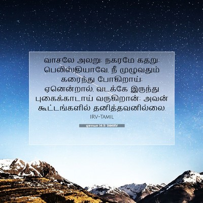 Picture 07 - ஏசாயா 14:31 TAMIRV - வாசலே அலறு; நகரமே - Bible Verse Picture