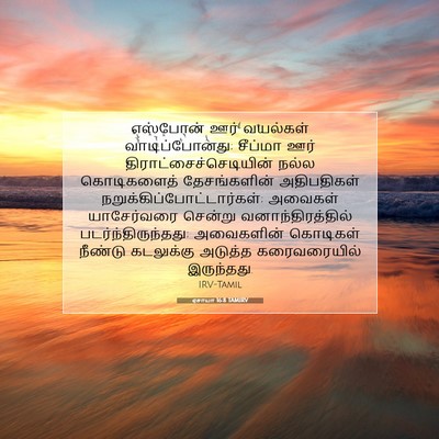Picture 07 - ஏசாயா 16:8 TAMIRV - எஸ்போன் ஊர் - Bible Verse Picture