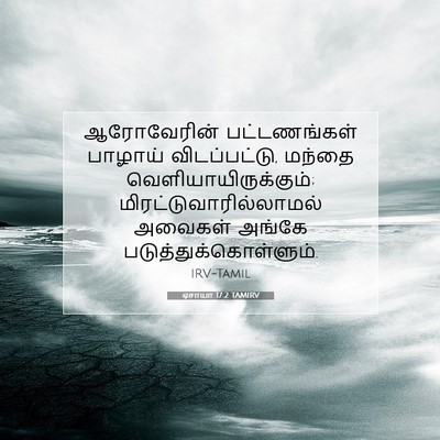 Picture 07 - ஏசாயா 17:2 TAMIRV - ஆரோவேரின் - Bible Verse Picture