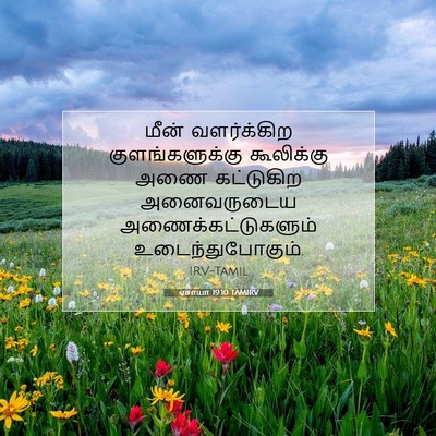 Picture 07 - ஏசாயா 19:10 TAMIRV - மீன் வளர்க்கிற - Bible Verse Picture