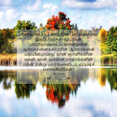 Picture 07 - ஏசாயா 19:11 TAMIRV - சோவான் - Bible Verse Picture