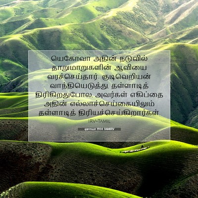 Picture 07 - ஏசாயா 19:14 TAMIRV - யெகோவா அதின் - Bible Verse Picture