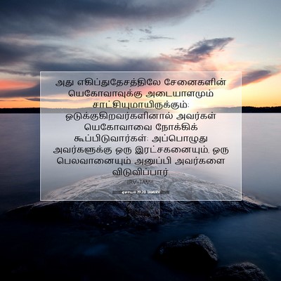 Picture 07 - ஏசாயா 19:20 TAMIRV - அது - Bible Verse Picture