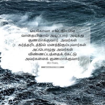 Picture 07 - ஏசாயா 19:22 TAMIRV - யெகோவா எகிப்தியரை - Bible Verse Picture