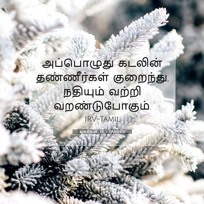 Picture 07 - ஏசாயா 19:5 TAMIRV - அப்பொழுது கடலின் - Bible Verse Picture