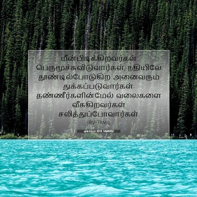 Picture 07 - ஏசாயா 19:8 TAMIRV -  - Bible Verse Picture