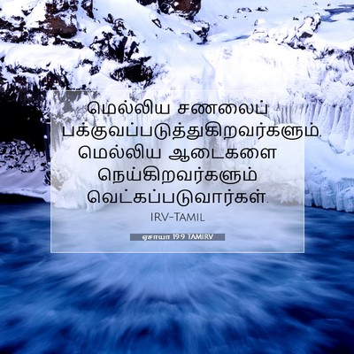 Picture 07 - ஏசாயா 19:9 TAMIRV - மெல்லிய சணலைப் - Bible Verse Picture