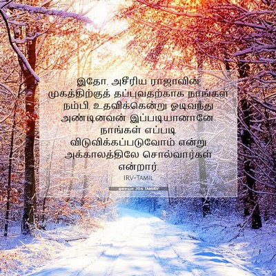 Picture 07 - ஏசாயா 20:6 TAMIRV - இதோ, அசீரிய - Bible Verse Picture