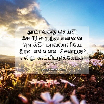 Picture 07 - ஏசாயா 21:11 TAMIRV - தூமாவுக்கு - Bible Verse Picture