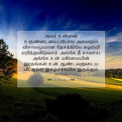 Picture 07 - ஏசாயா 22:18 TAMIRV - அவர் உன்னை - Bible Verse Picture