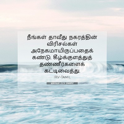 Picture 07 - ஏசாயா 22:9 TAMIRV - நீங்கள் தாவீது - Bible Verse Picture