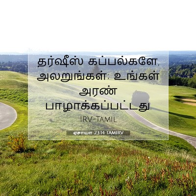 Picture 07 - ஏசாயா 23:14 TAMIRV - தர்ஷீஸ் - Bible Verse Picture