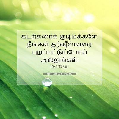 Picture 07 - ஏசாயா 23:6 TAMIRV - கடற்கரைக் - Bible Verse Picture
