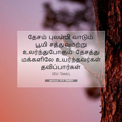 Picture 07 - ஏசாயா 24:4 TAMIRV - தேசம் புலம்பி - Bible Verse Picture