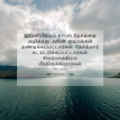 Picture 07 - ஏசாயா 24:6 TAMIRV - இதினிமித்தம் - Bible Verse Picture