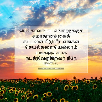 Picture 07 - ஏசாயா 26:12 TAMIRV - யெகோவாவே, - Bible Verse Picture
