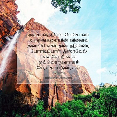 Picture 07 - ஏசாயா 27:12 TAMIRV - அக்காலத்திலே, - Bible Verse Picture