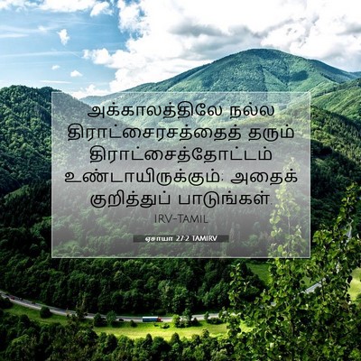 Picture 07 - ஏசாயா 27:2 TAMIRV - அக்காலத்திலே நல்ல - Bible Verse Picture