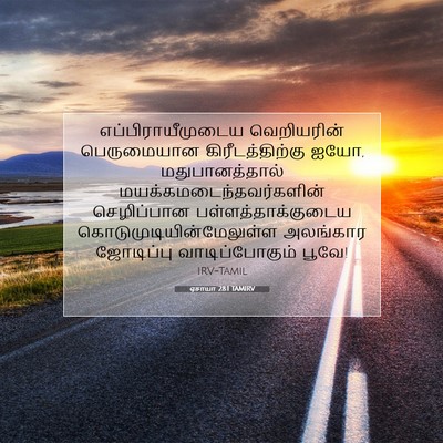 Picture 07 - ஏசாயா 28:1 TAMIRV - எப்பிராயீமுடைய - Bible Verse Picture