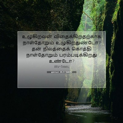 Picture 07 - ஏசாயா 28:24 TAMIRV - உழுகிறவன் - Bible Verse Picture