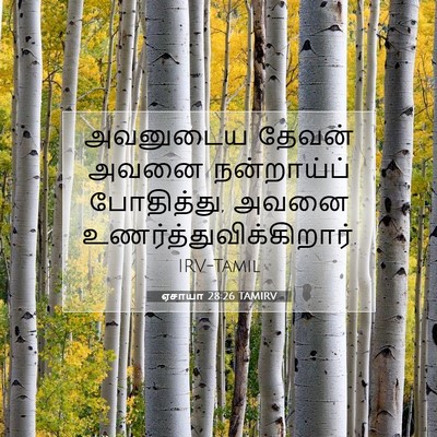 Picture 07 - ஏசாயா 28:26 TAMIRV - அவனுடைய தேவன் - Bible Verse Picture