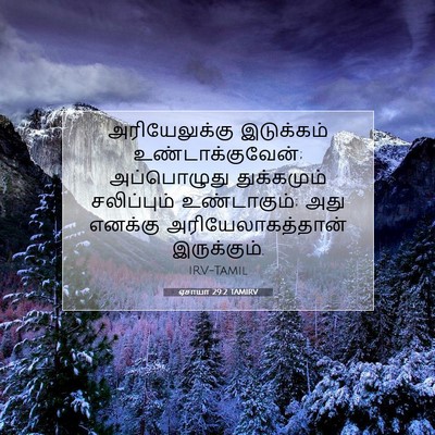 Picture 07 - ஏசாயா 29:2 TAMIRV - அரியேலுக்கு - Bible Verse Picture