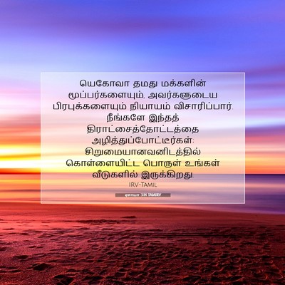 Picture 07 - ஏசாயா 3:14 TAMIRV - யெகோவா தமது - Bible Verse Picture