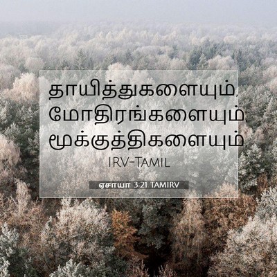 Picture 07 - ஏசாயா 3:21 TAMIRV - தாயித்துகளையும், - Bible Verse Picture
