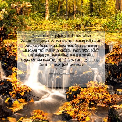Picture 07 - ஏசாயா 30:15 TAMIRV - நீங்கள் - Bible Verse Picture