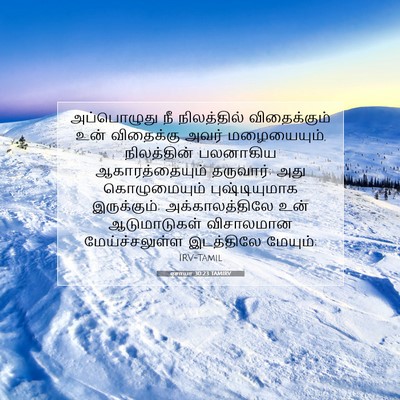 Picture 07 - ஏசாயா 30:23 TAMIRV - அப்பொழுது நீ - Bible Verse Picture