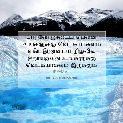 Picture 07 - ஏசாயா 30:3 TAMIRV - பார்வோனுடைய பெலன் - Bible Verse Picture