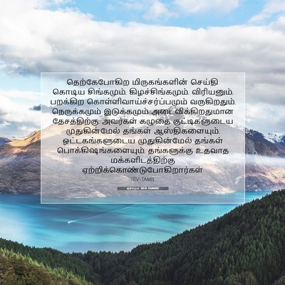 Picture 07 - ஏசாயா 30:6 TAMIRV - தெற்கேபோகிற - Bible Verse Picture