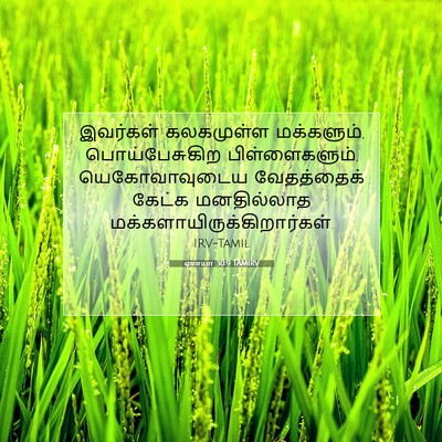 Picture 07 - ஏசாயா 30:9 TAMIRV - இவர்கள் கலகமுள்ள - Bible Verse Picture
