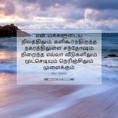 Picture 07 - ஏசாயா 32:13 TAMIRV - என் மக்களுடைய - Bible Verse Picture