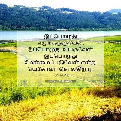 Picture 07 - ஏசாயா 33:10 TAMIRV - இப்பொழுது - Bible Verse Picture