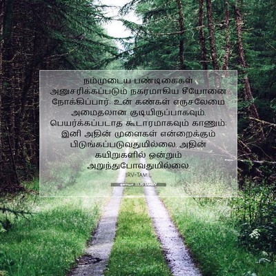 Picture 07 - ஏசாயா 33:20 TAMIRV - நம்முடைய - Bible Verse Picture