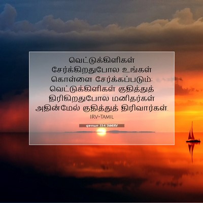 Picture 07 - ஏசாயா 33:4 TAMIRV - வெட்டுக்கிளிகள் - Bible Verse Picture