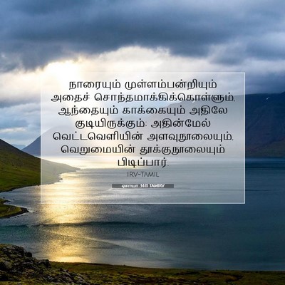 Picture 07 - ஏசாயா 34:11 TAMIRV - நாரையும் - Bible Verse Picture