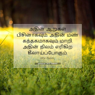 Picture 07 - ஏசாயா 34:9 TAMIRV - அதின் ஆறுகள் - Bible Verse Picture
