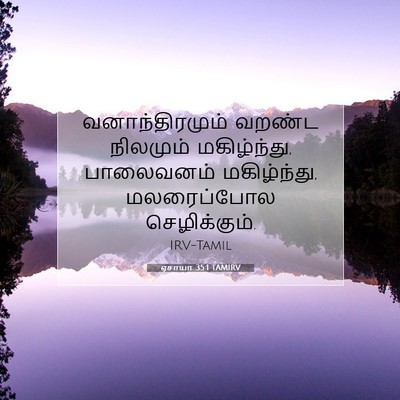 Picture 07 - ஏசாயா 35:1 TAMIRV - வனாந்திரமும் - Bible Verse Picture