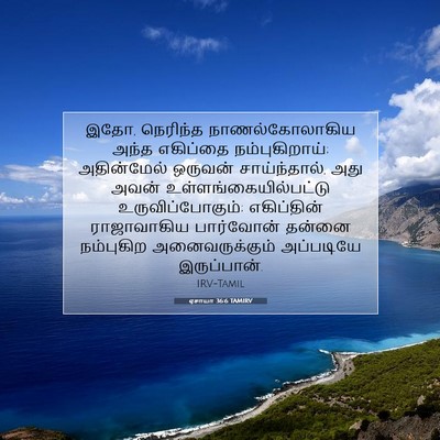 Picture 07 - ஏசாயா 36:6 TAMIRV - இதோ, நெரிந்த - Bible Verse Picture