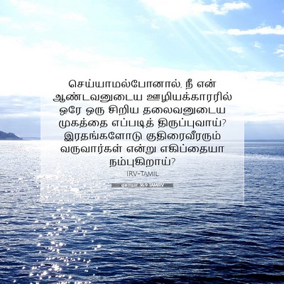 Picture 07 - ஏசாயா 36:9 TAMIRV - செய்யாமல்போனால், - Bible Verse Picture